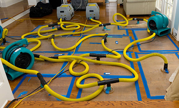 Professional Structural Drying And Dehumidification technician working in Kenansville, FL